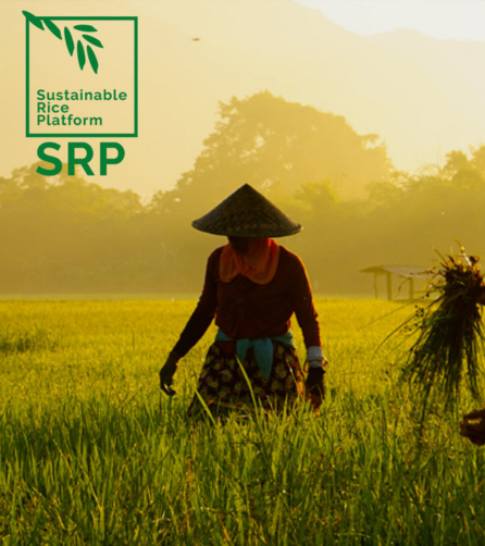 Image : A New Data Platform to help Reduce the Climate Footprint of Rice Production